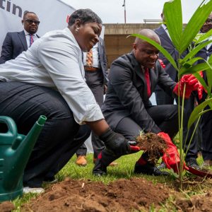 UBA Foundation tree Planting