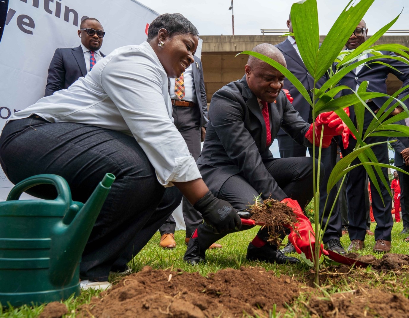 UBA Foundation tree Planting